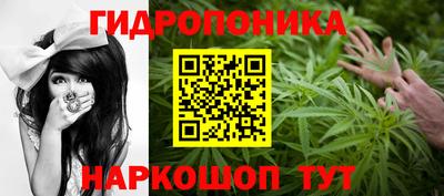 мет Ефремов